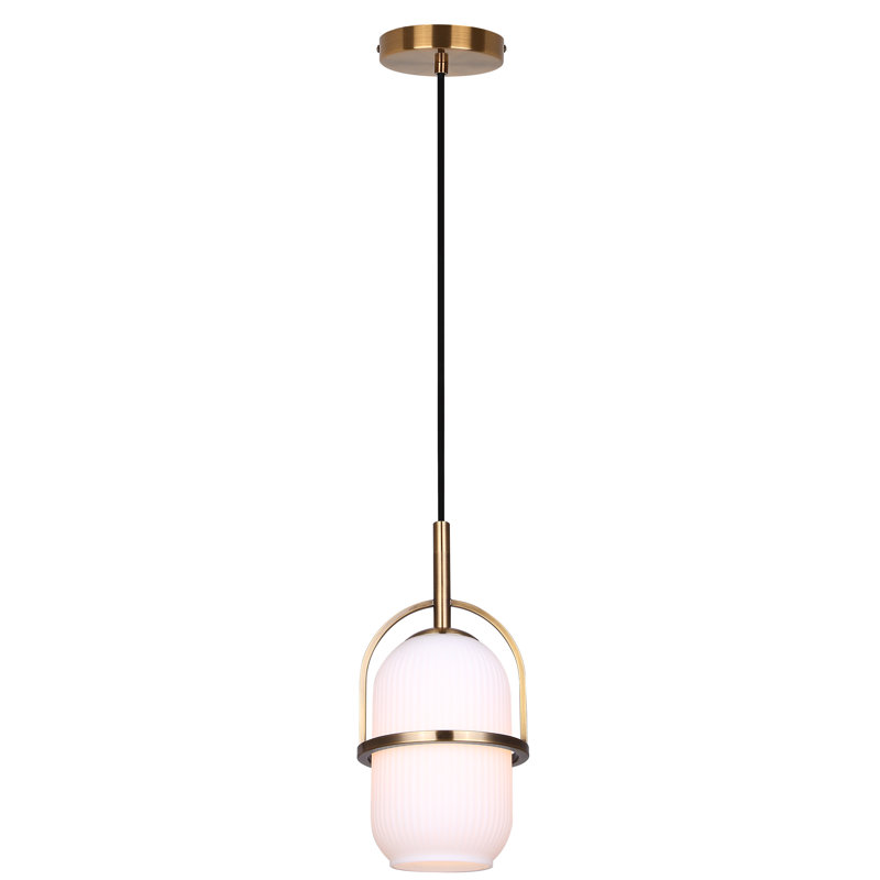 Luminaire suspendu 1 lumière Danita