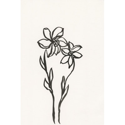 Encre botanique croquis IV par J. Holland - reproduction d'art sur toile tendue