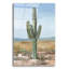 «Saguaro Cactus Study 1» par Ethan Harper-1779478165