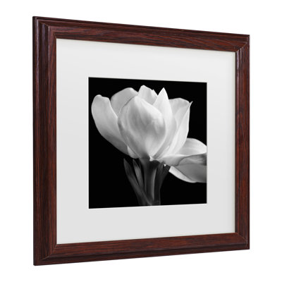 «Gardenia» par Michael Harrison