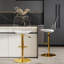 Modern Bar Stools Set Of 2, Adjustable Counter Height Bar Stools With Back For Kitchen & Bar-835065327