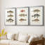 Espèces de poissons antiques I - Impression personnalisée de qualité supérieure avec cadre mat - 3 pièces-603805635-603805632