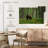 European Brown Bear-107670669