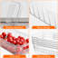 Food Storage Container