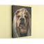 Drôle de bouledogue sur toile-1398584784