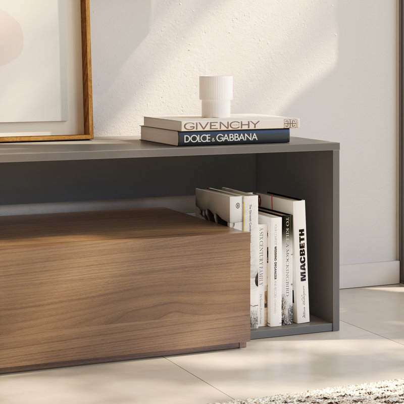 Caven TV Stand with 2 Drawers for TVs up to 78", Nutmeg/Greige