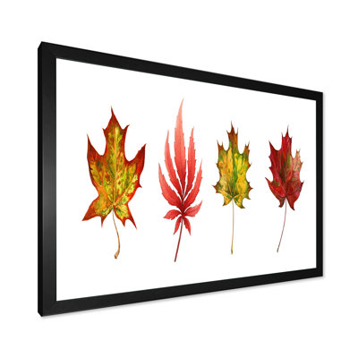 Feuille d'érable rouge I - reproduction sur toile