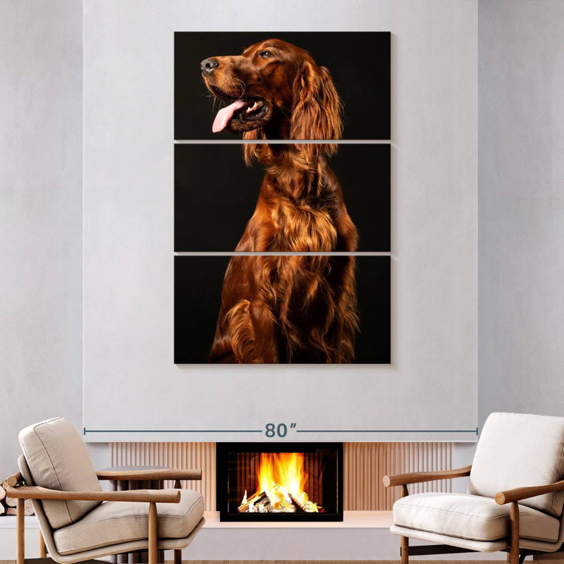 Brampt Irish Setter Dog