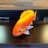 Orange Fish Statue