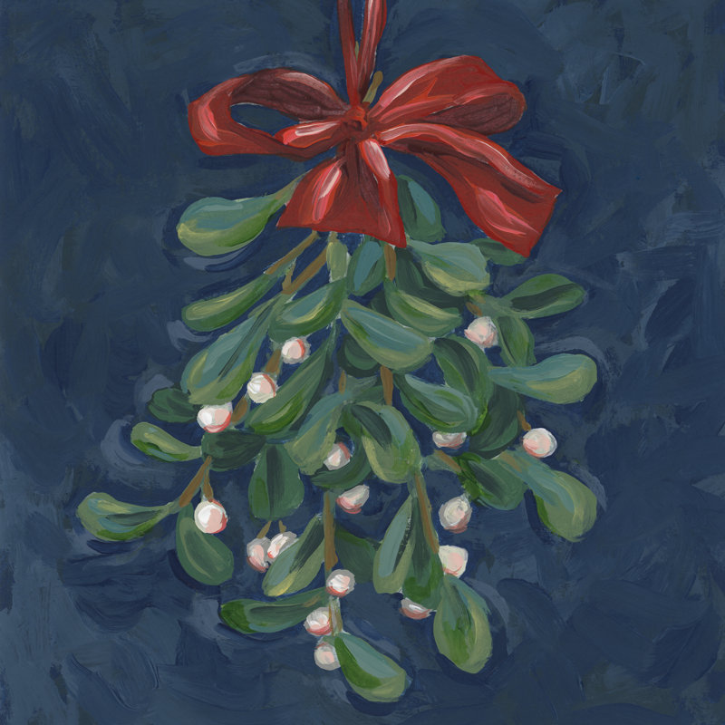 Tarrell Midnight Mistletoe II by June Erica Vess - Wrapped Canvas Print, 122 cm H x 122 cm W