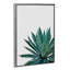 « agave cactus »-impression photographie-49905641-49905614