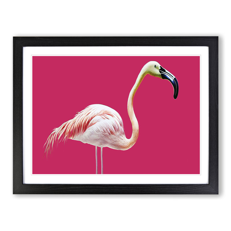 Tranquil Flamingo - Single Picture Frame Print, Black Framed, 25cm H x 34cm W x 2cm D