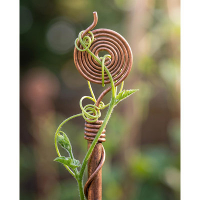  Ensemble de 2 supports de jardin en spirale faits à la main en cuivre