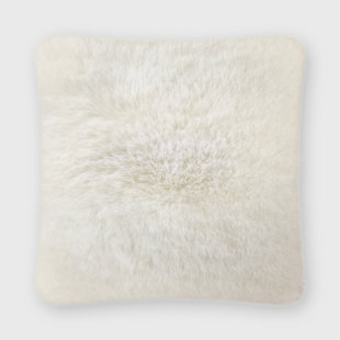 https://assets.wfcdn.com/im/25758318/resize-h310-w310%5Ecompr-r85/2211/221181057/dajonna-square-rex-faux-fur-pillow-cover-insert.jpg