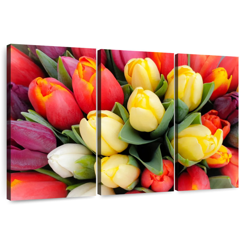 Harnek Vibrant Spring Tulips, 20" H x 33" W