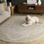 Barden Hand Tufted Oriental Area Rug-566580086