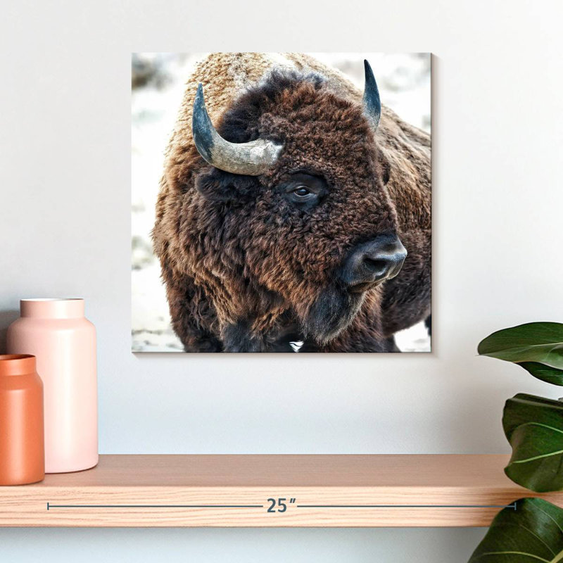 Ronce en présence de bisons, H 16 po x l 16 po