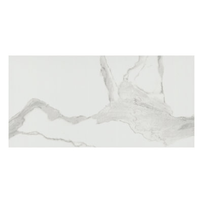 Ardena 12 in. x 24 in. Matte Porcelain Stone Look Floor and Wall Tile