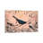 The First Blackbird by Michelle Campbell - Floater Frame Print on Canvas-842695875-842695877