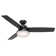 52" Sentinel 3 -Blade Standard Ceiling Fan with Remote Control and Light Kit Included