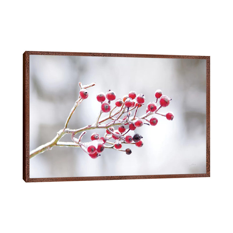 Winter Berries I by Felicity Bradley - Print on Canvas, 101.6cm H x 152.4cm W x 3.81cm D, Classic Brown Wood Framed