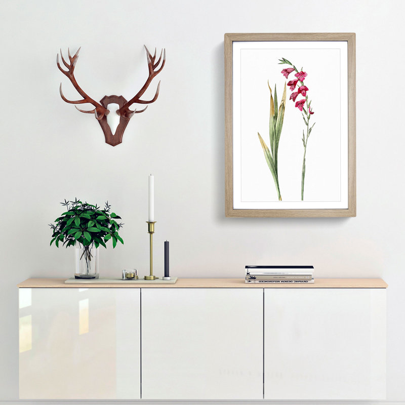 Pink Gladiolus Flowers by Pierre-Joseph Redoute - Picture Frame Painting Print, 65cm H x 48cm W x 2cm D, Oak Framed
