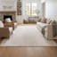 Tapis délavé 8 pi x 10 pi