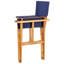 Liang Folding Director Chair