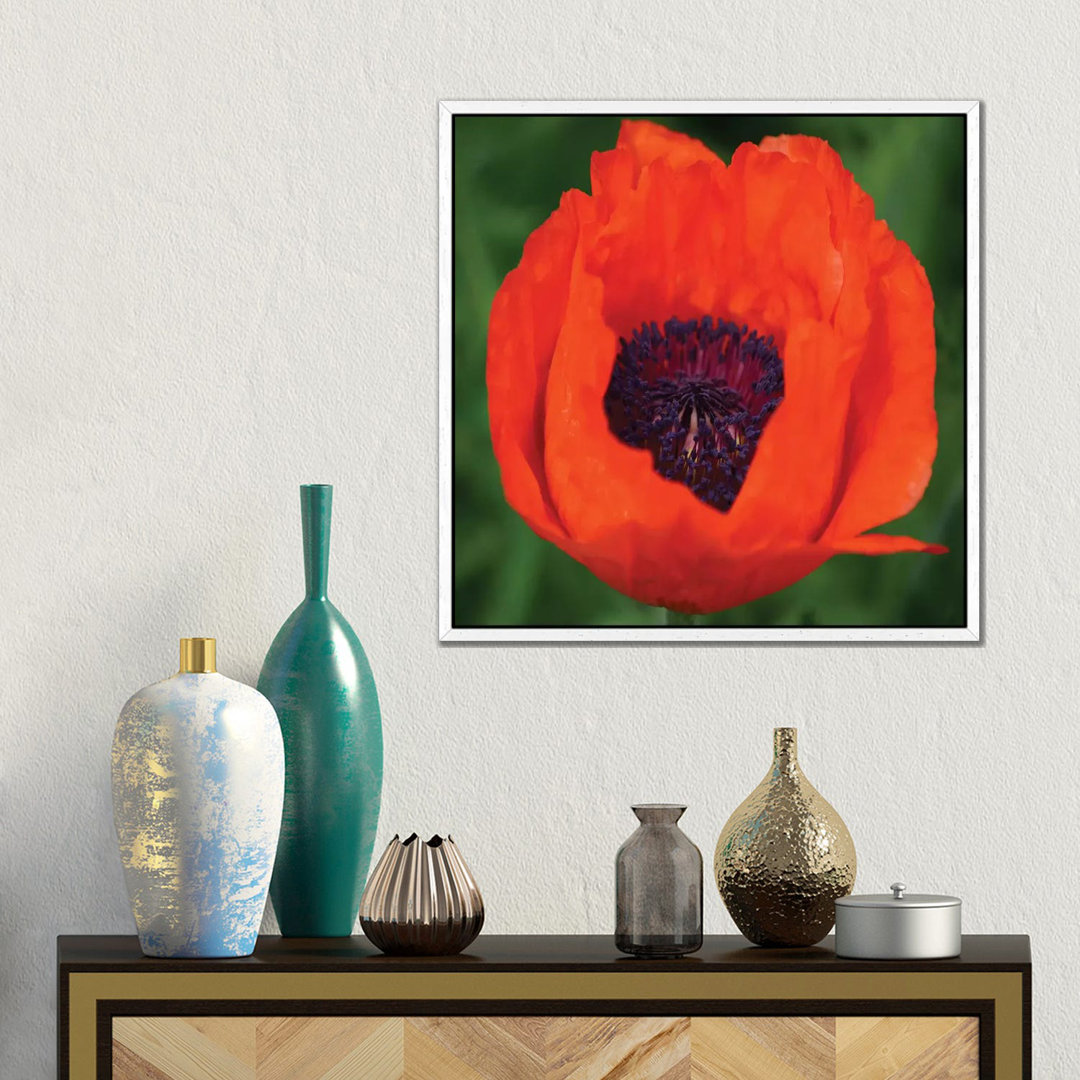 Orange Poppy I von Savanah Plank - Galerie-verpackte Leinwand Giclée auf Leinwand