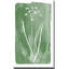 Green Botanical II - Peinture-122174145-112805960