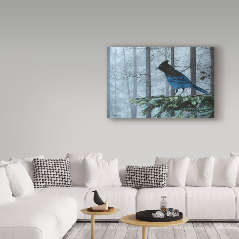 «Steller Jay In Fog» par Etelca, impression sur toile tendue, H 22 po x l 32 po x P 2 po