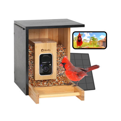 Birdfy Bamboo Bird Feeder Mini - Outdoor Birdwatching, 1080P HD Video, Full-Color Night Vision, 7-Day Free AI Trial, Perfect Gift for Bird Lover