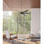 Rachna Ceiling Fan with Light Kit