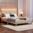 Abe Aadi Corduroy Upholstered Platform Bed with Channel-Tufted Headboard, Modern Bed Frame with Soft Padded Edges and Ambient LED-755949445-755949442-599356191
