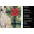 Cream Italian Greyhound Christmas PoinsettIas Kitchen Towel-2080584017