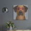 «Rhodesian Ridgeback portant des lunettes de hipster» par les affiliés Furbaby-781655428