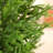 Adcock Artificial UV Resistant Cedar Topiary Trees for Outdoor, Faux Cypress Plant with Solar Light String-1710577912