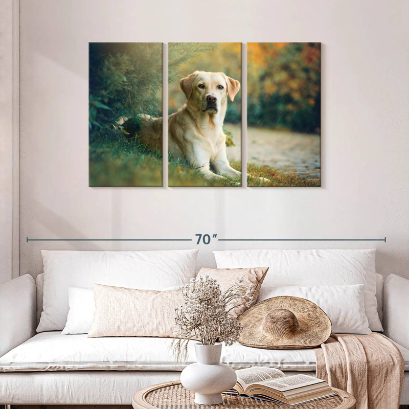Brampt Labrador Retriever Mix, 28" H x 45" W