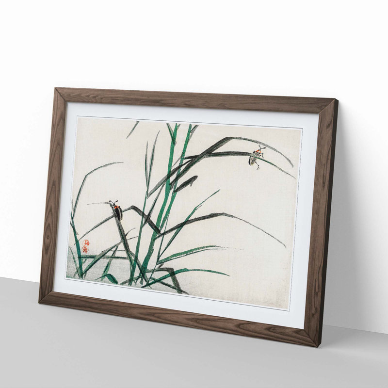 Beetles by Kono Bairei - Picture Frame Painting Print, 36cm H x 48cm W x 2cm D, Walnut Framed
