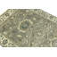 Tapis oriental taupe à motif floral Osh Chobi Peshawar-1674678553