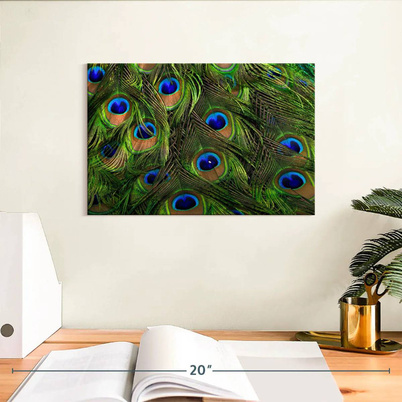 Brampt Silky Peacock Feathers