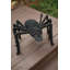 PAINTED TWIG SPIDER - BLACK