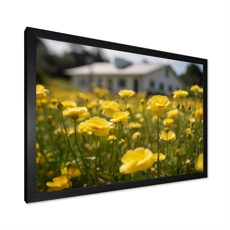«Yellow Buttercups At The Farm II», reproduction sur toile, H 34 po x l 44 po x P 1,5 po, Cadre photo noir
