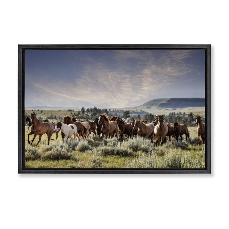«Bustling Horse Herd in Nature», art mural encadré sur toile flottante, design par PHBurchett, H 21 po x l 31 po