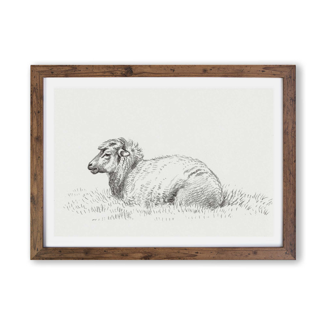 Lying Sheep by Jean Bernard - Framed Print