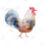 Aquarelle sur toile coq | Art animalier encadré
