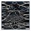 Tapis Midnight Blossom-1767165021