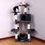 Arbre à chat ou condo 59 "Buxton-288820388