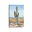 Toile tendue Timeless Saguaro Cactus I-123174417