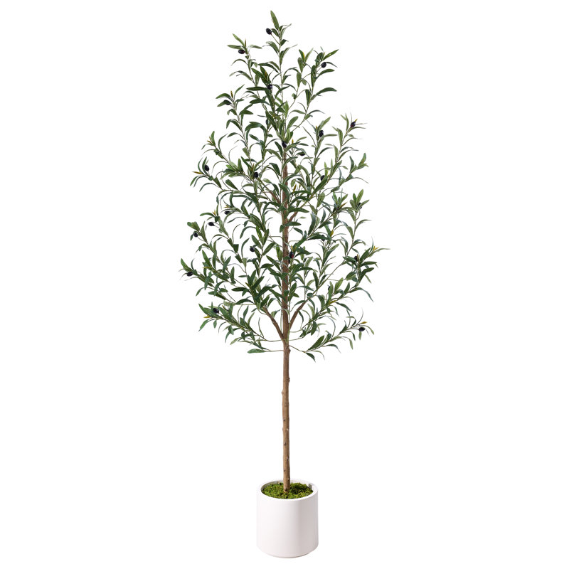 5 pi / 6 pi olivier artificiel en pot blanc moderne, 6ft
